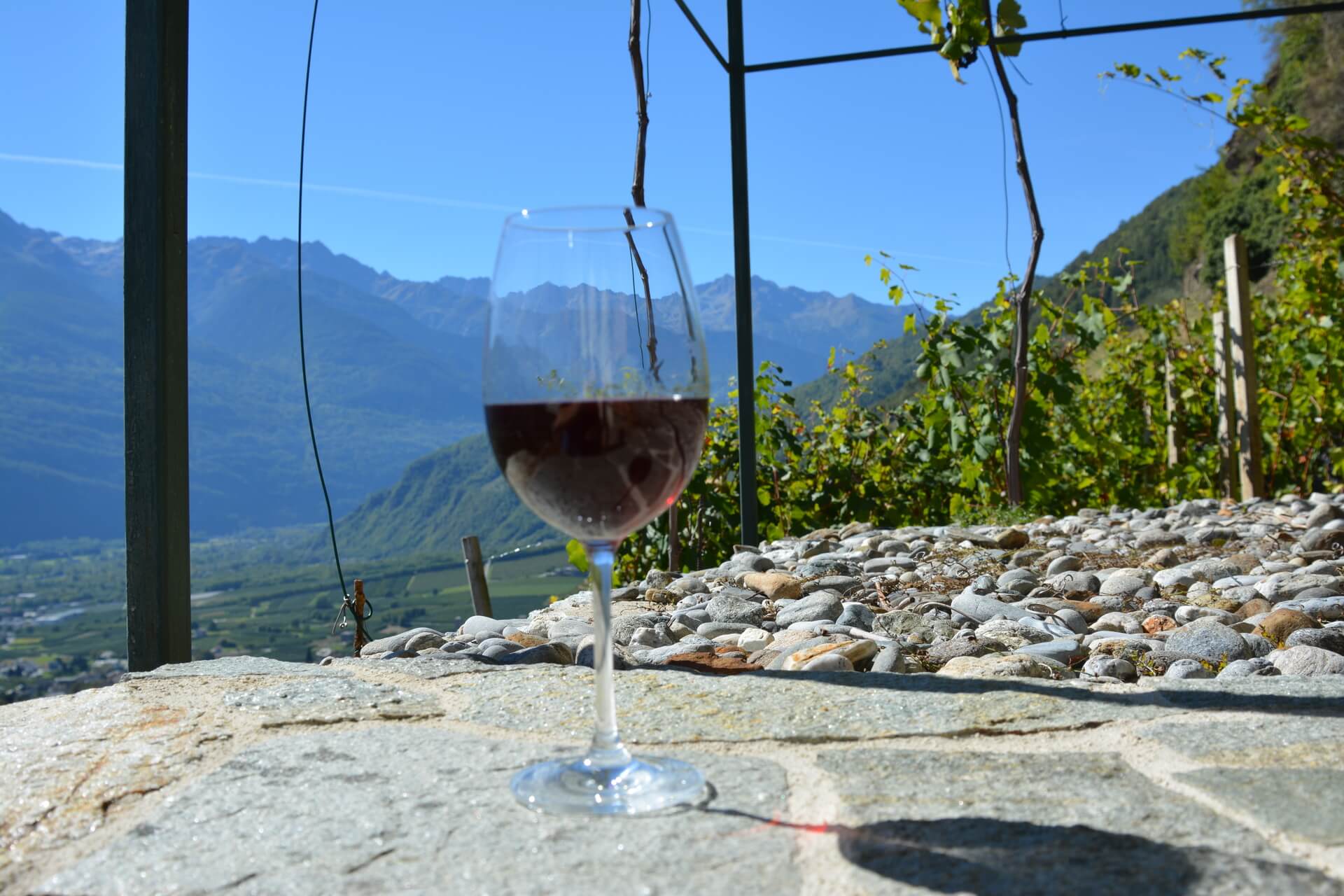 bicchiere di vino in Valetellina