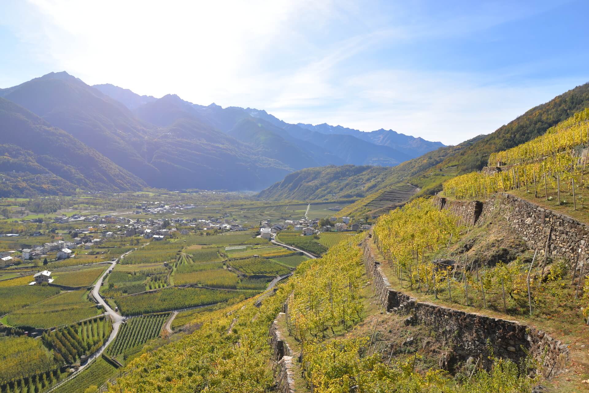 Terrazzamenti valtellinesi per i vitigni di nebbiolo